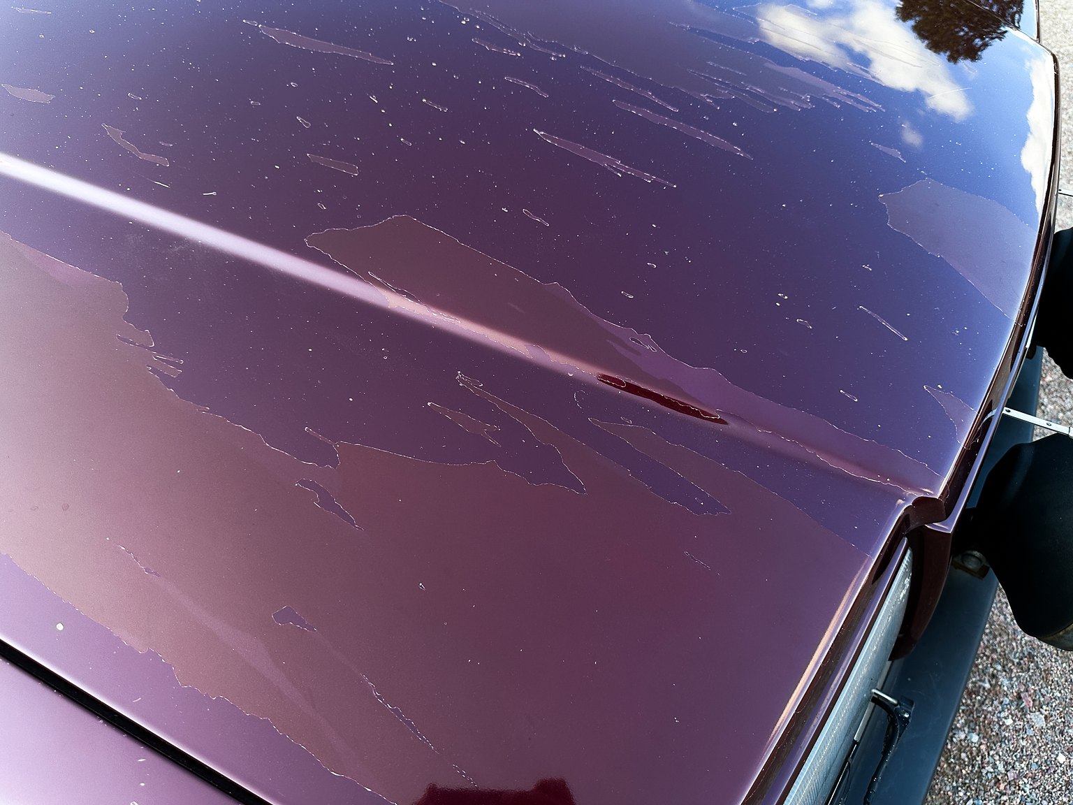 Exteriörbild på 1993 Volvo 245 GL Classic "No Reserve Auction"