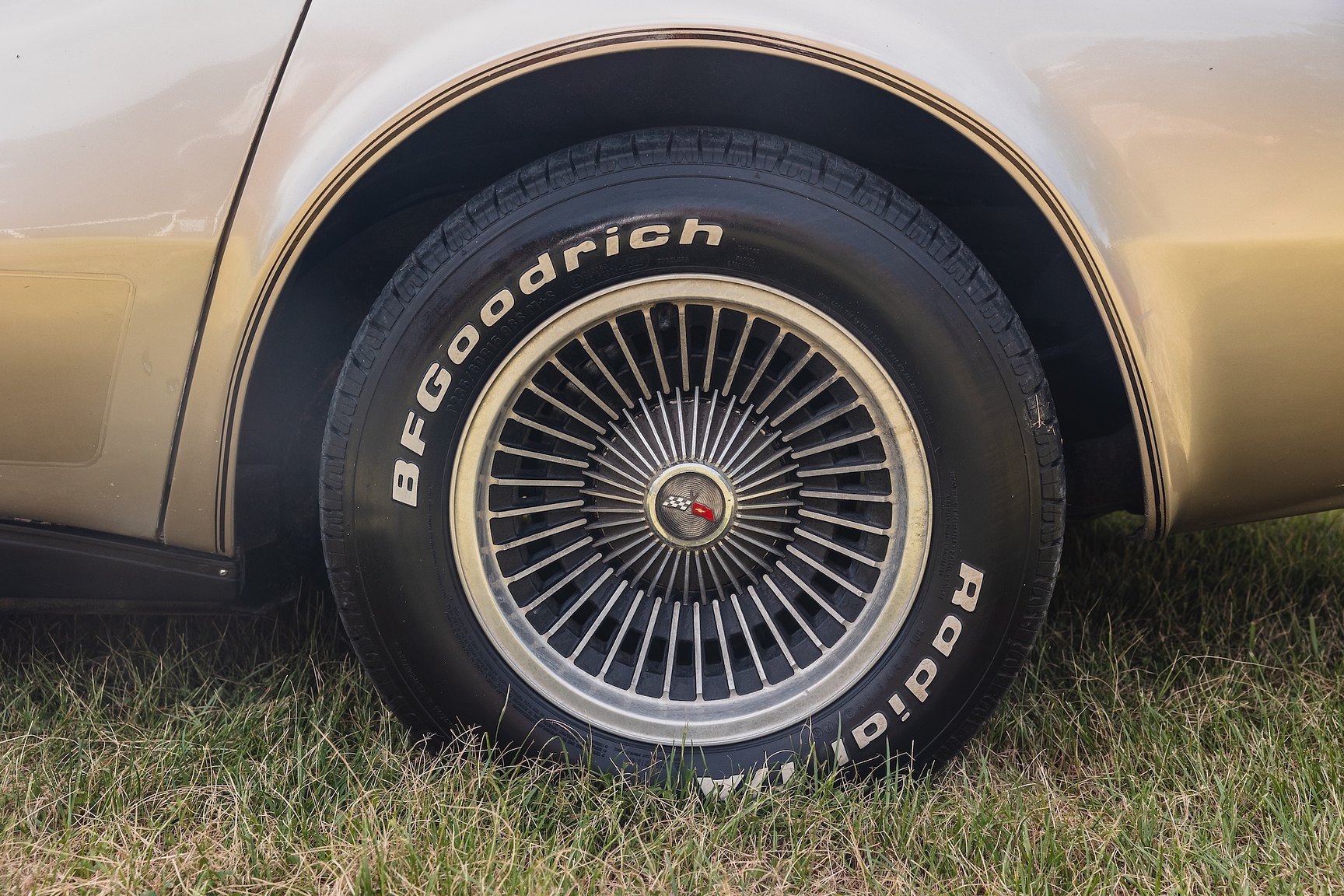 Exterior image of 1982 Chevrolet Corvette Collector Edition