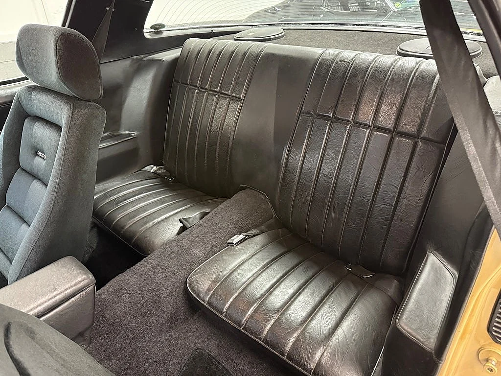 Bild von 1979 Pontiac Firebird (30)