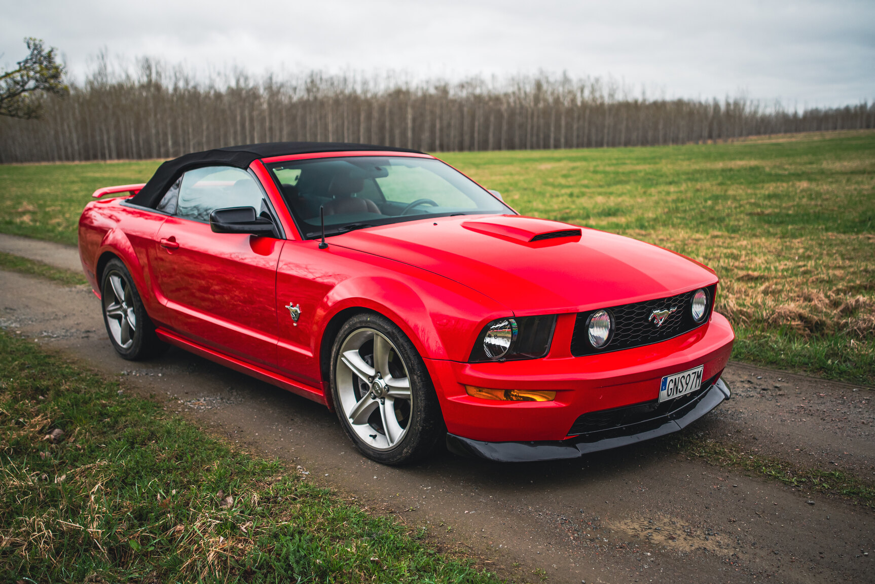 Exterior image of 2009 Ford Mustang V8 GT Convertible