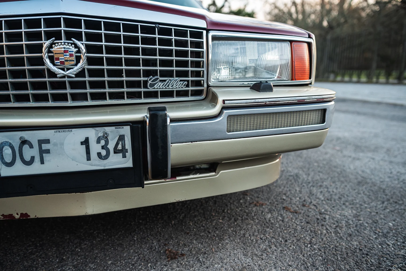 Exterior image of 1989 Cadillac Seville (25)