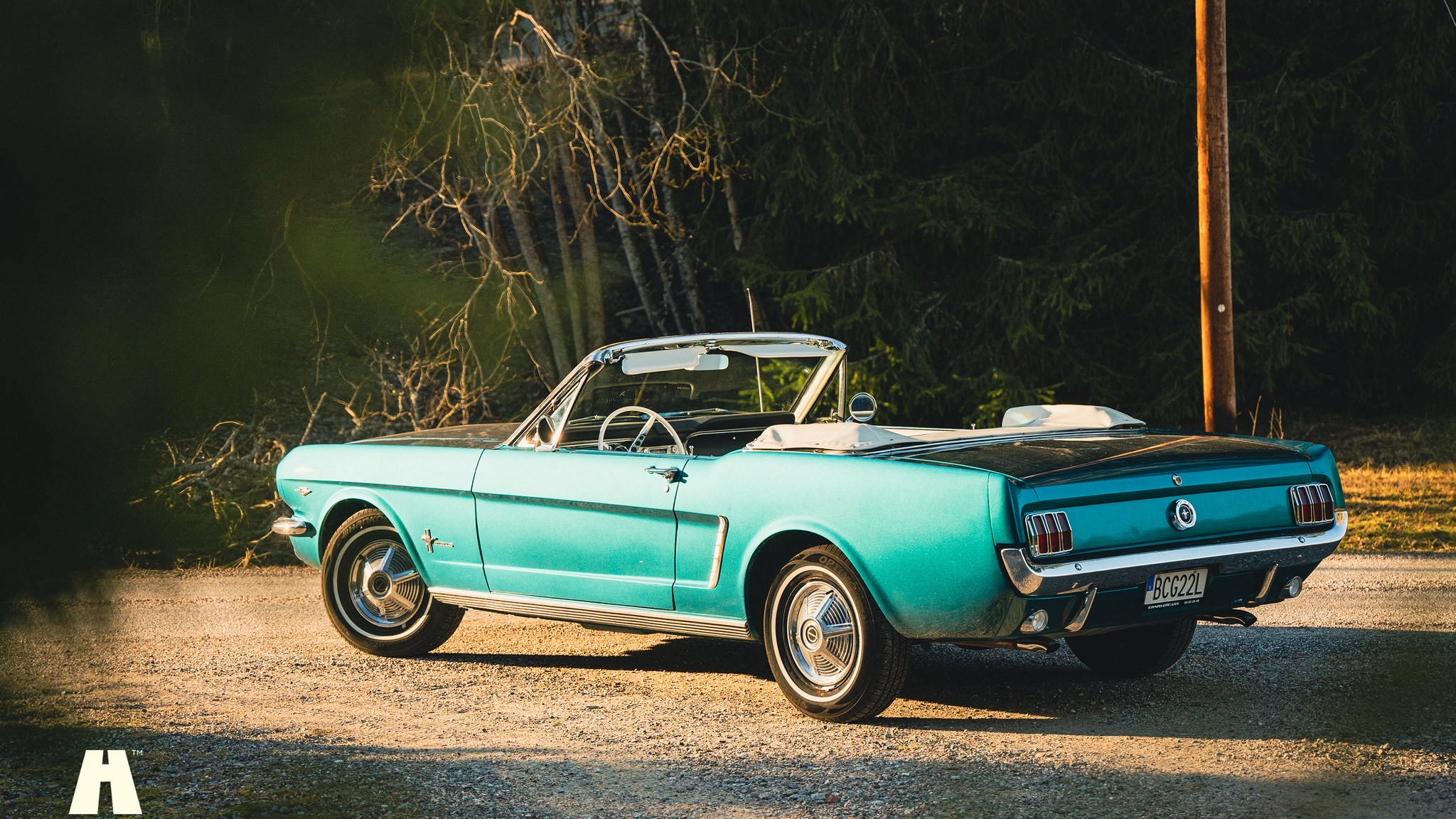 Exterior image of 1965 Ford Mustang Cabriolet (2)