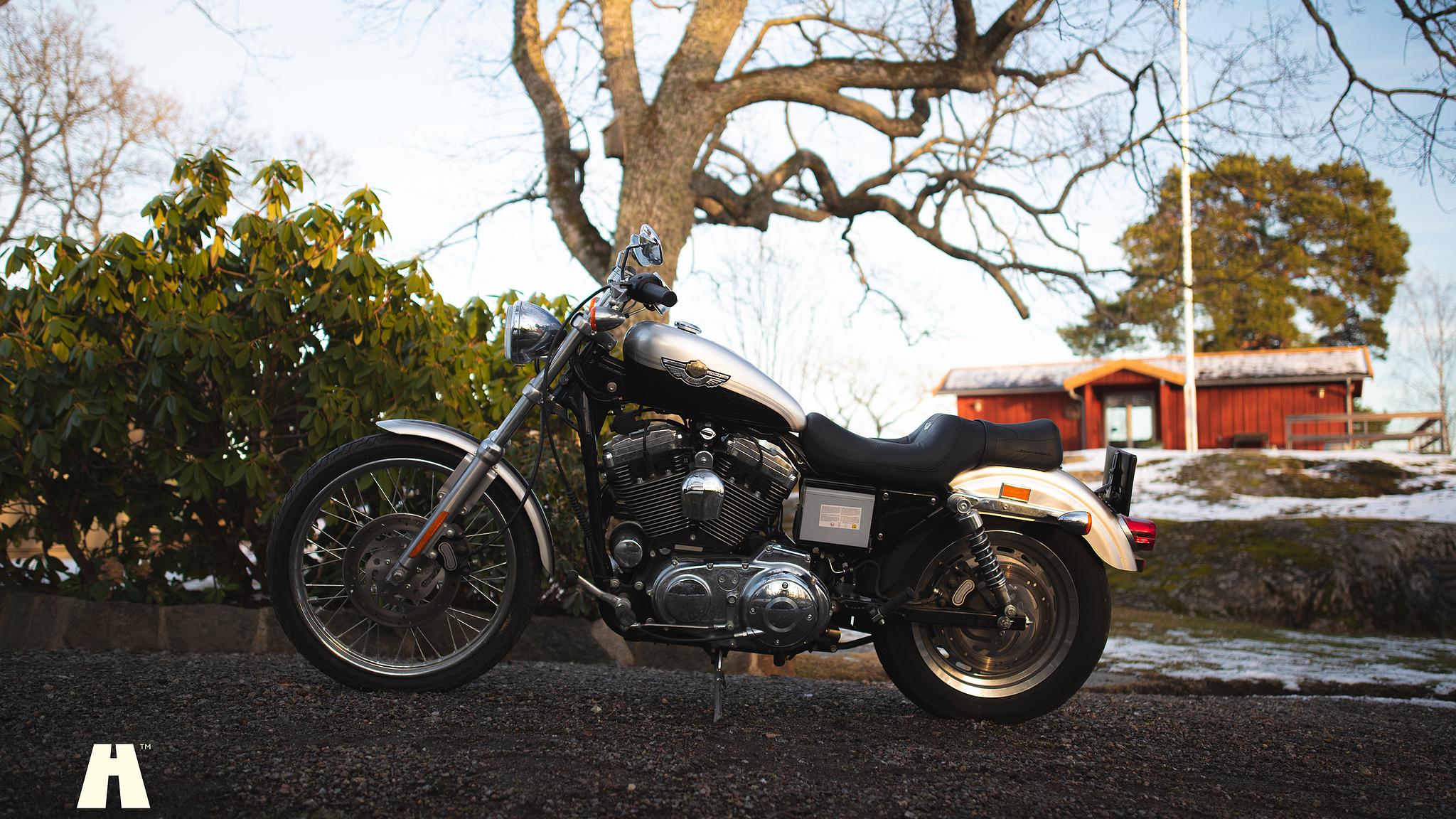 Exterior image of 2003 Harley Davidson Sportster 1200C 100th Anniversary Edition
