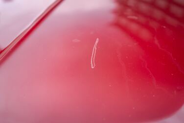 #<Image:0x00007f303a0be110>