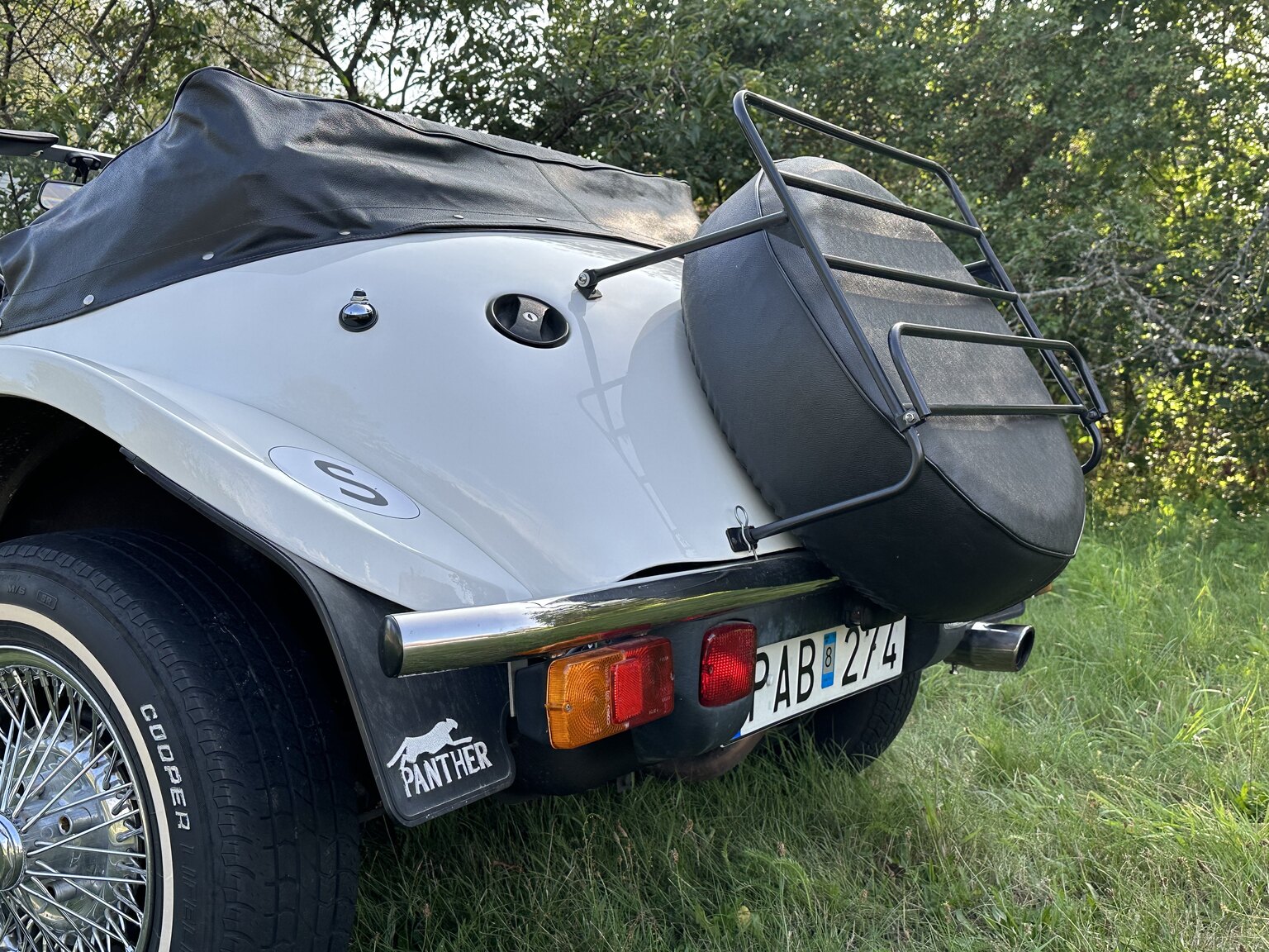 Exterior image of 1988 Panther Kallista