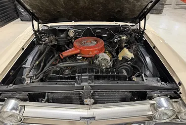 #<Image:0x00007fb770502808>