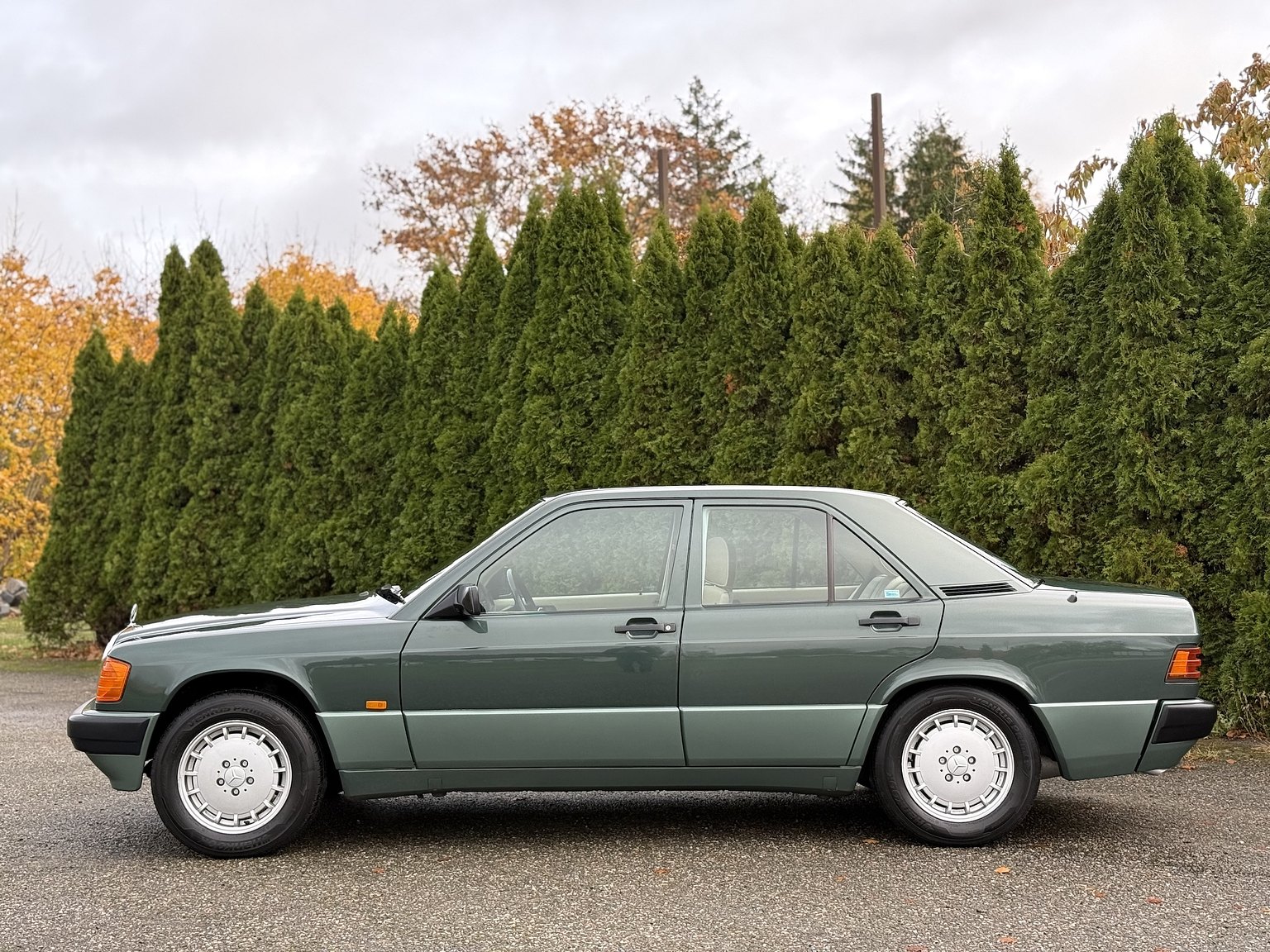 Exterior image of 1989 Mercedes-Benz 190 E