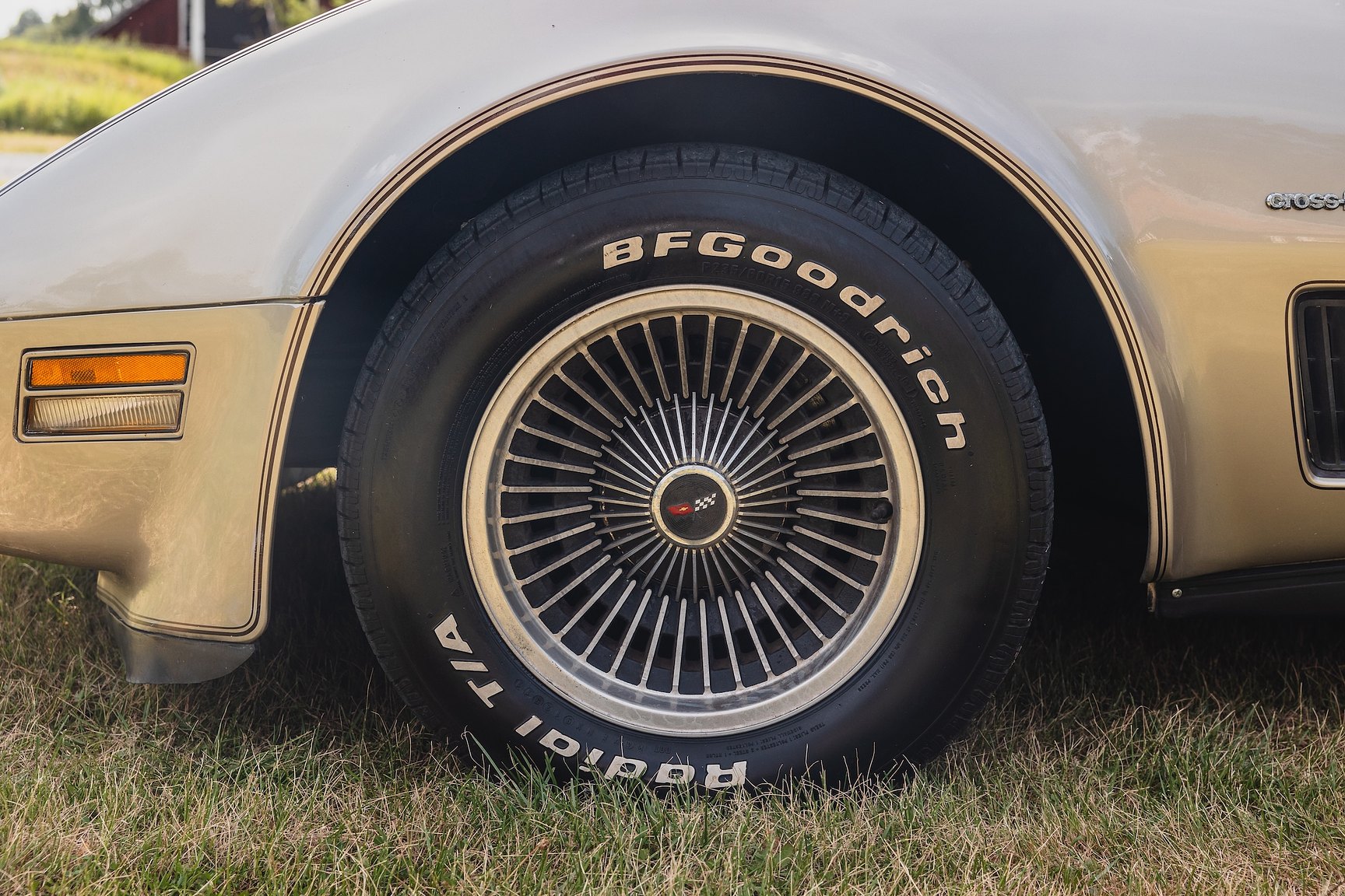 Exterior image of 1982 Chevrolet Corvette Collector Edition
