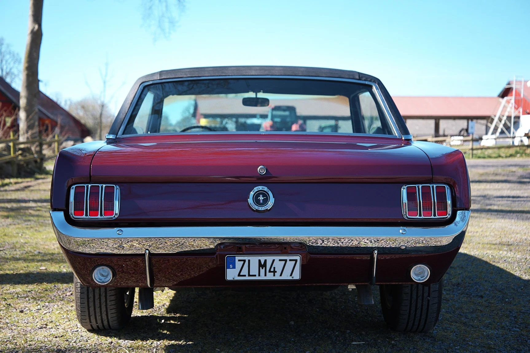 Aussenfoto 1965 Ford Mustang HT 289cui (9)