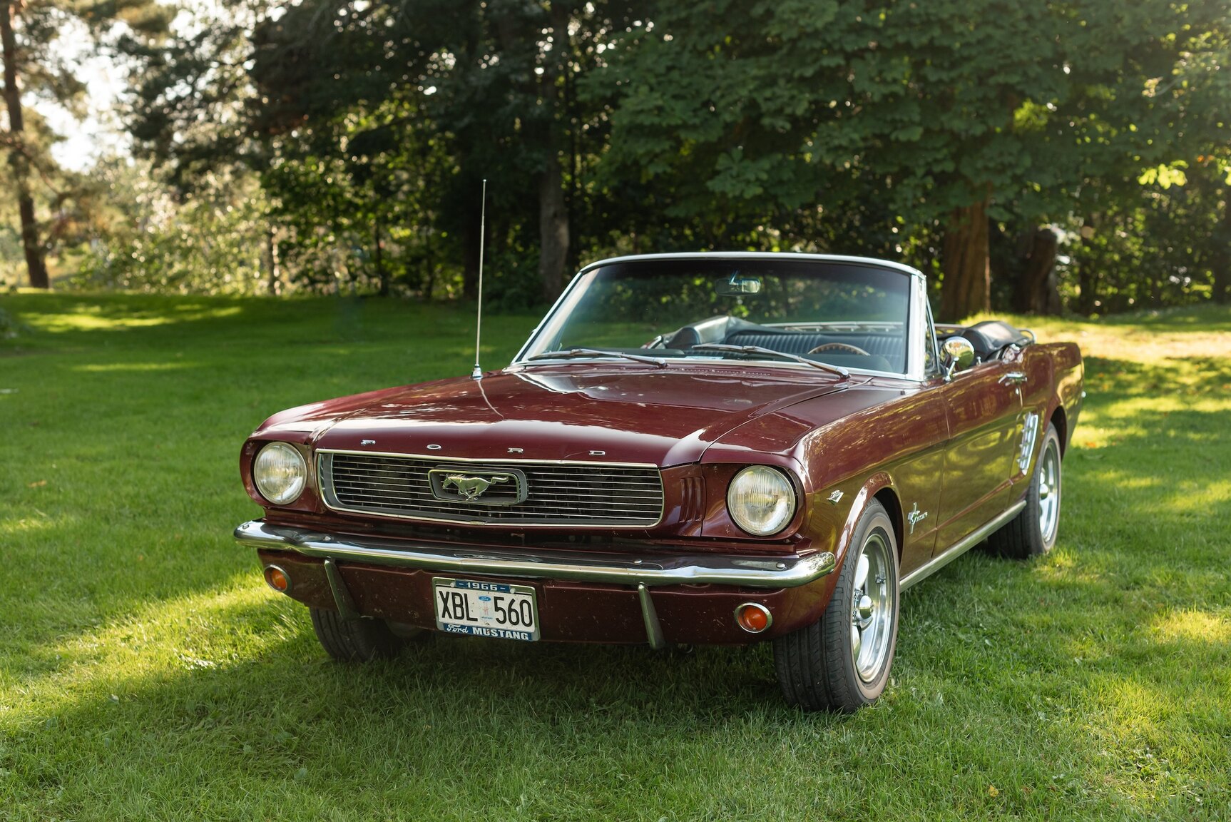 Aussenfoto 1966 Ford Mustang Convertible
