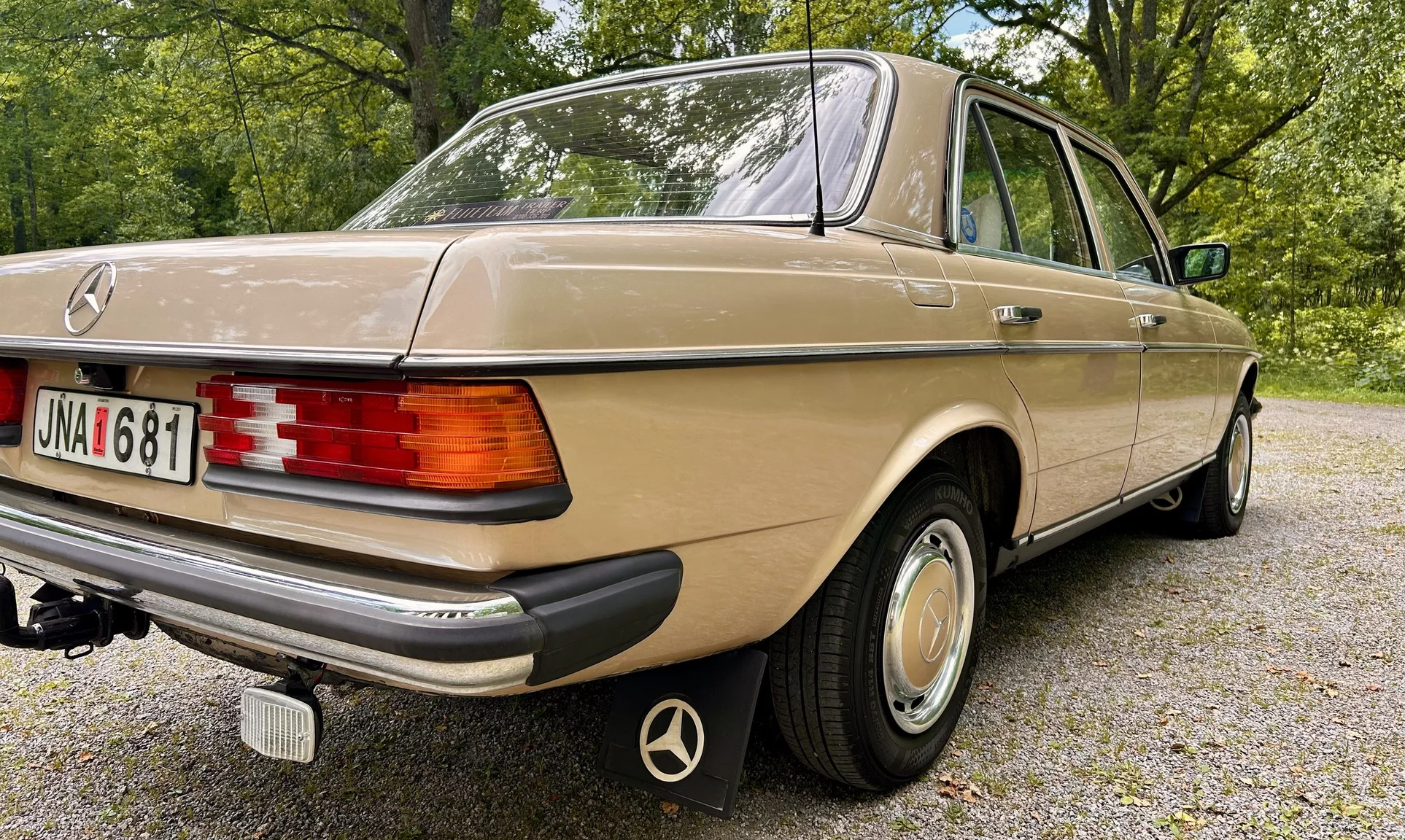 Aussenfoto 1976 Mercedes-Benz 300 D (22)