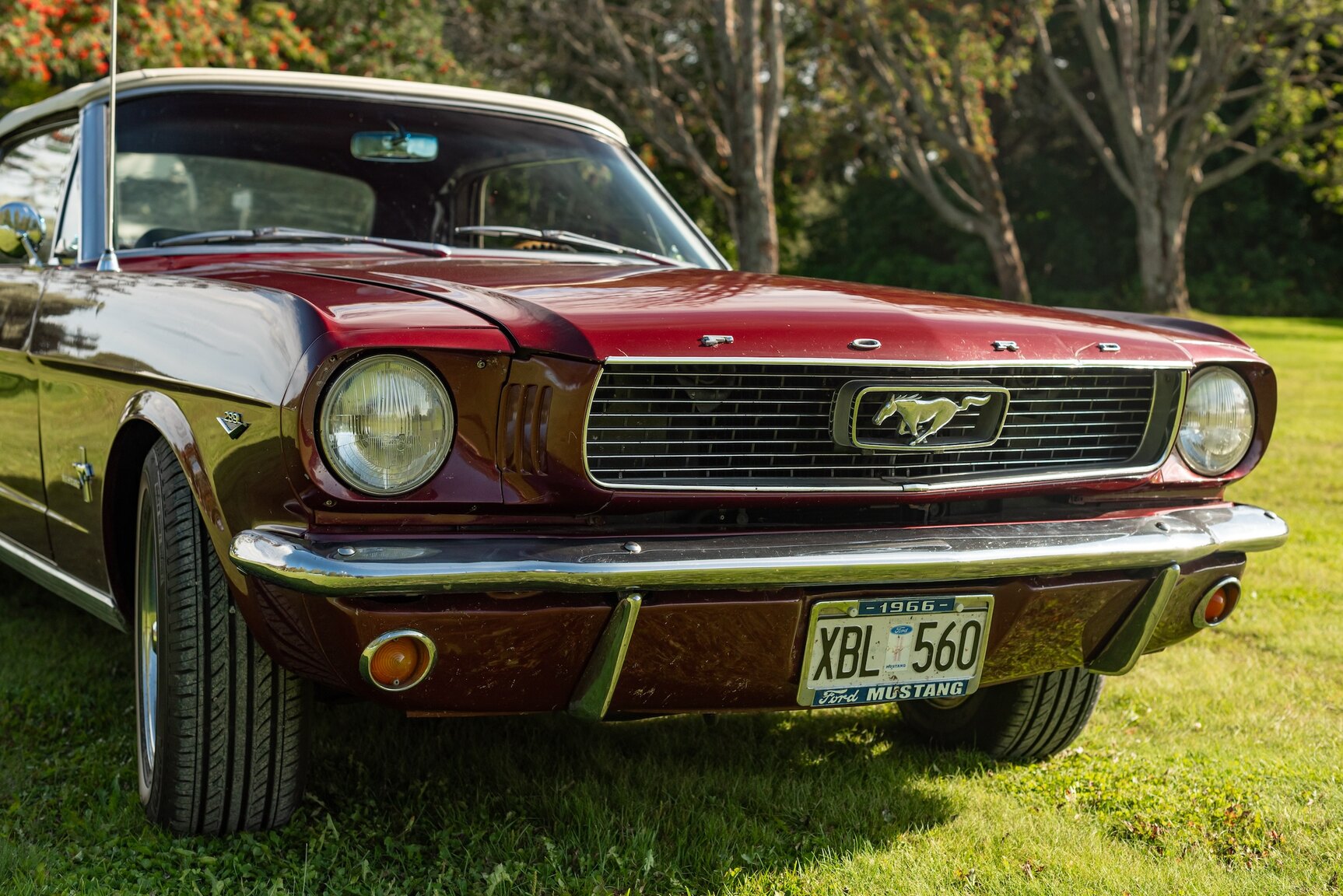 Exteriörbild på 1966 Ford Mustang Convertible
