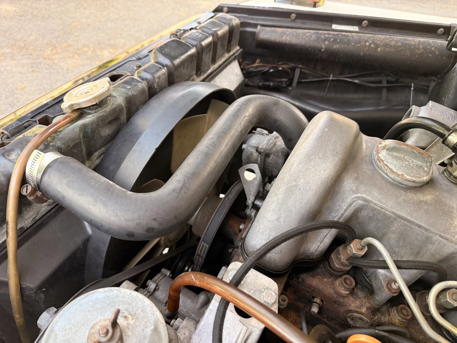 Image of 1981 Mercedes-Benz 240 GD (10) mechanics