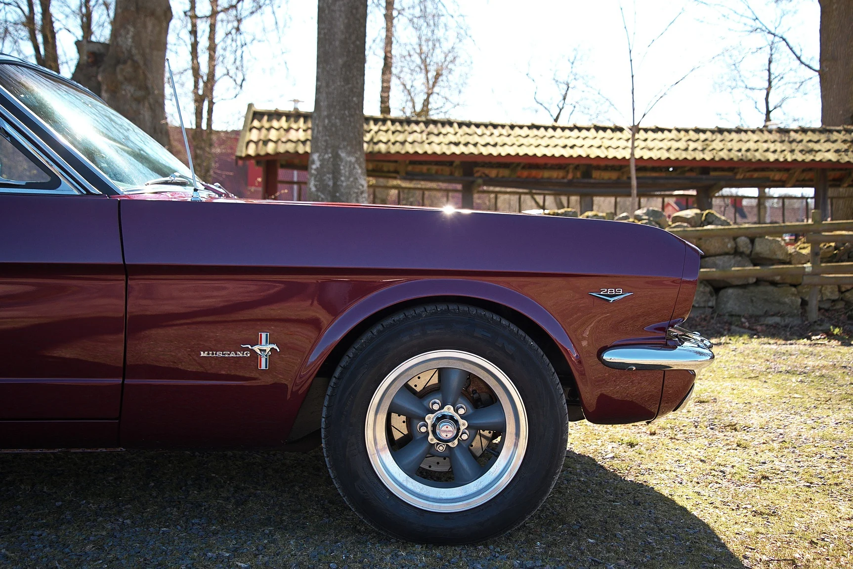 Aussenfoto 1965 Ford Mustang HT 289cui (42)