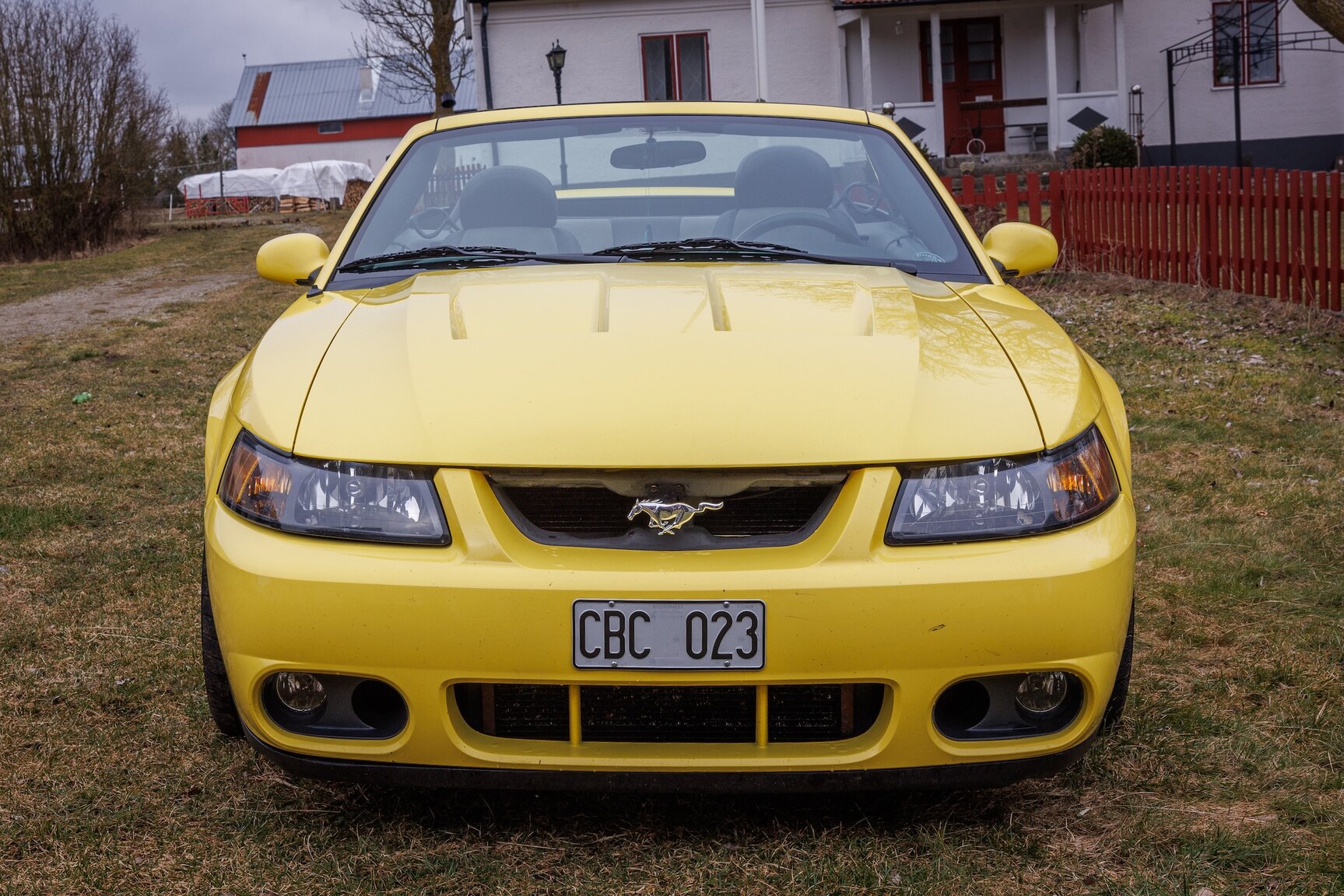 Exterior image of 2003 Ford Mustang SVT Cobra