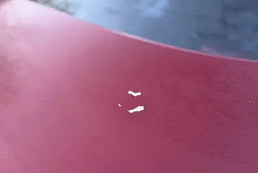 #<Image:0x00007ff691e026c8>