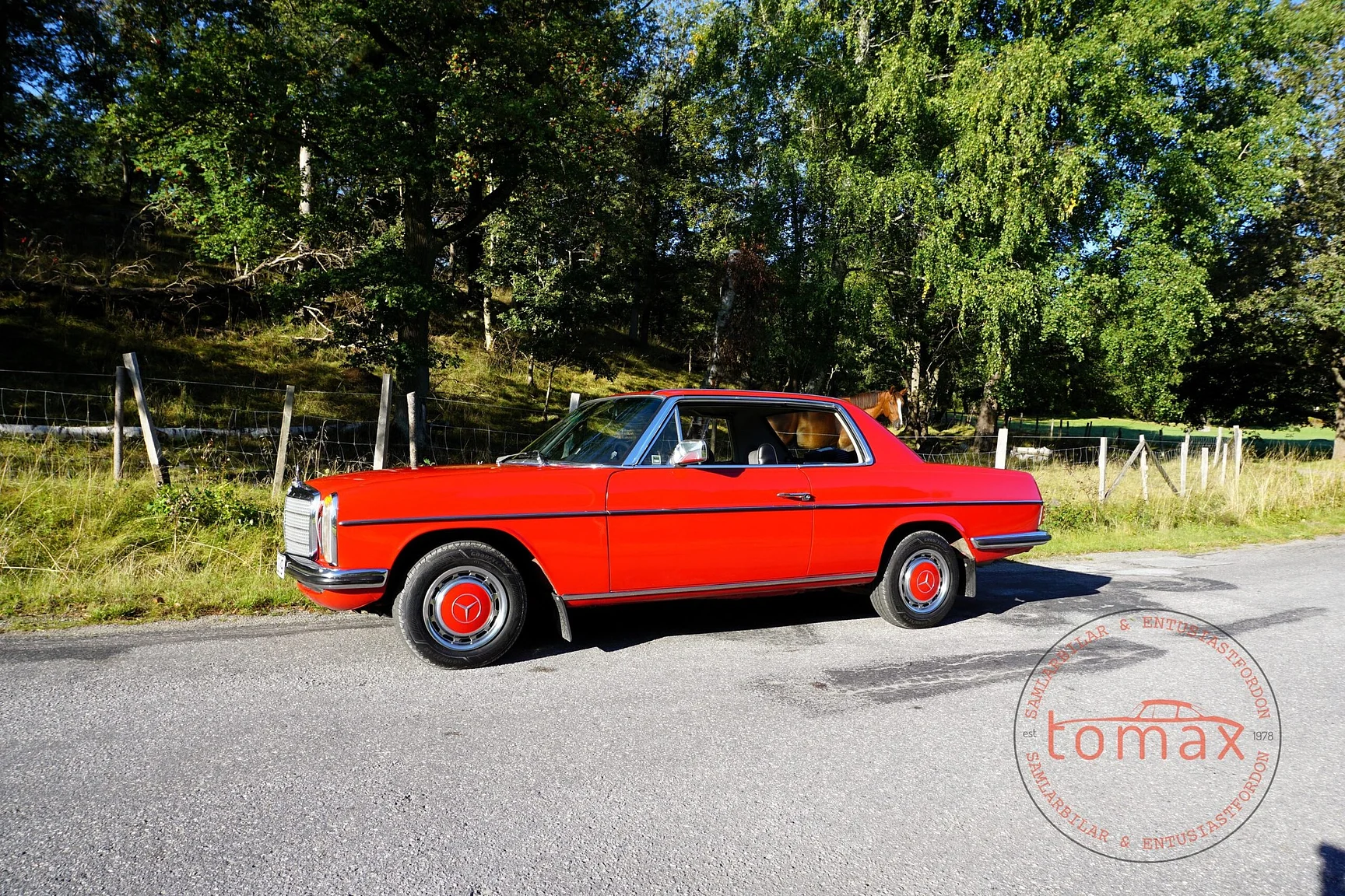 Bild von 1974 Mercedes-Benz 280C (18)