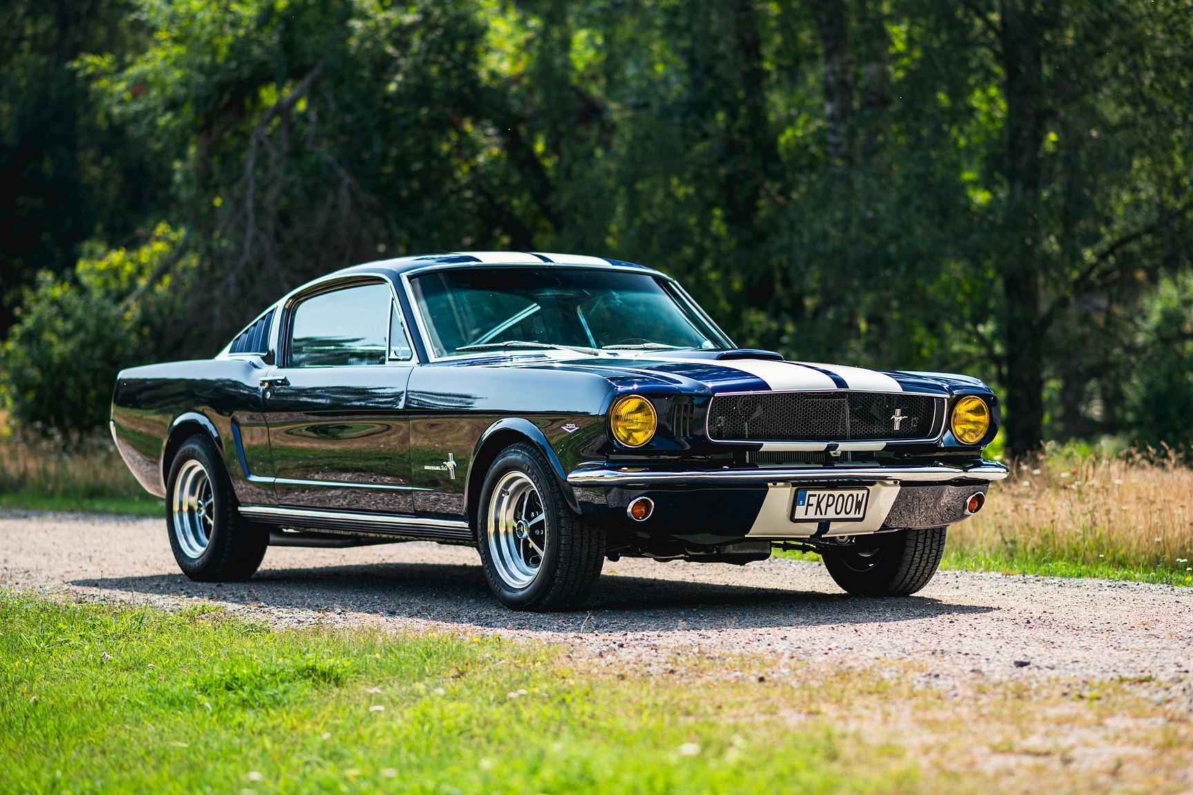 Exterior image of 1965 Ford Mustang Fastback