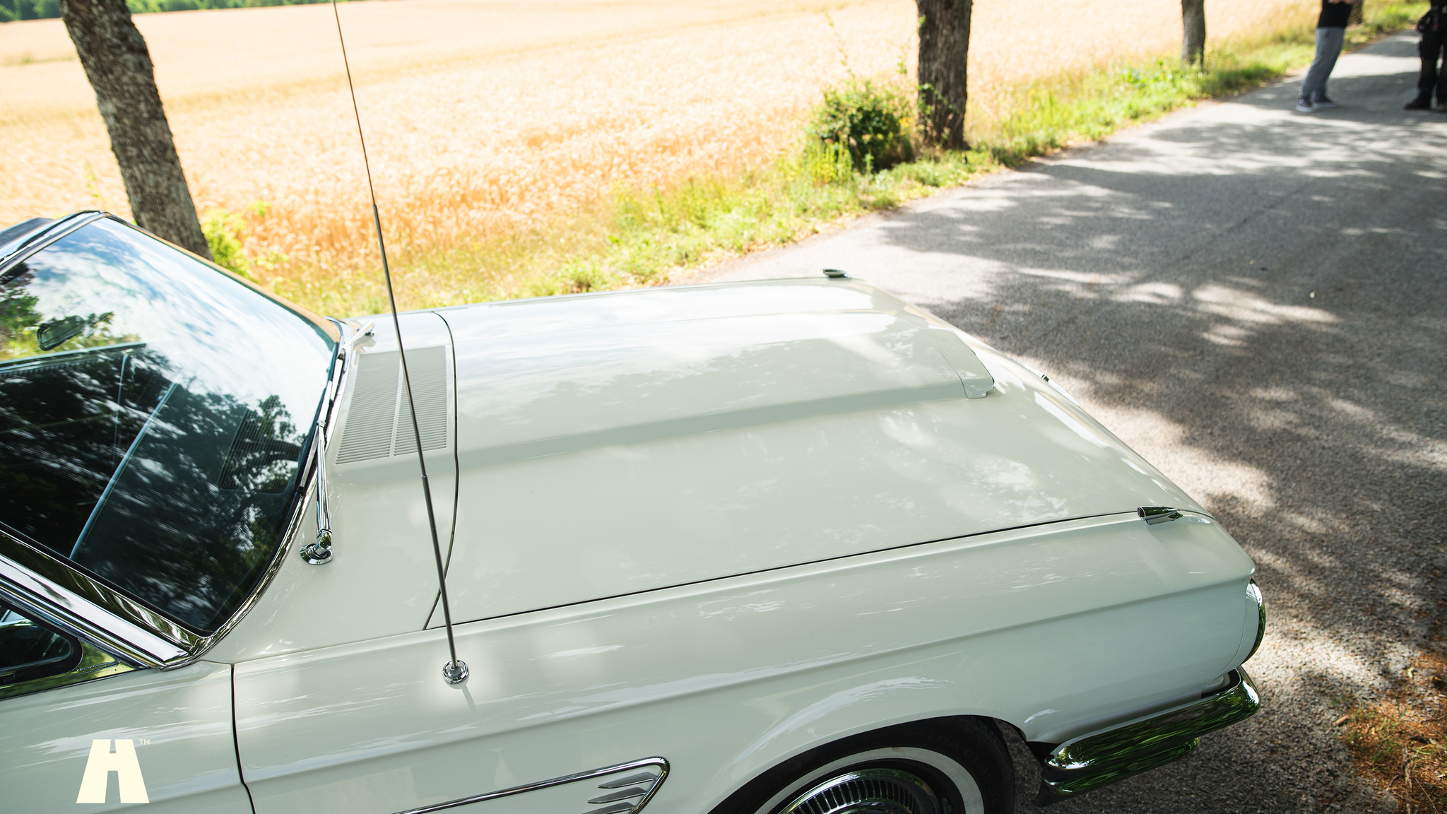 Aussenfoto 1965 Ford Thunderbird (11)