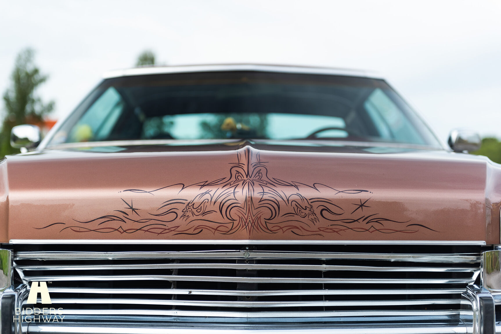Aussenfoto 1973 Buick Electra Custom 2D HT Coupe