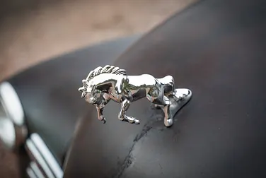 #<Image:0x00007fcf146bd0d8>