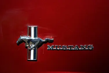 #<Image:0x00007fbc186b1918>