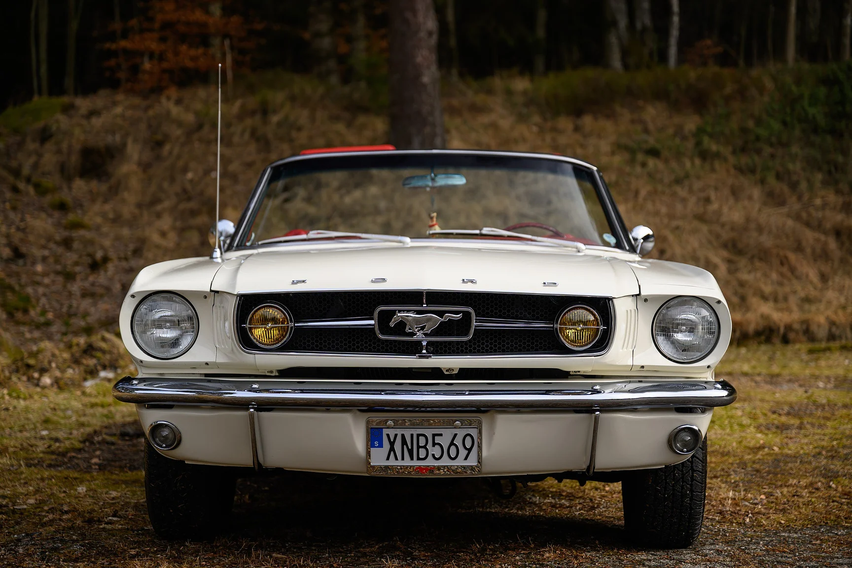 Exteriörbild på 1965 Ford Mustang GT Convertible (73)
