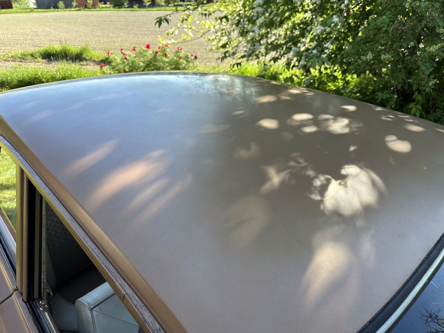 Exterior image of 1966 Plymouth Valiant 100 2-door Sedan (48)