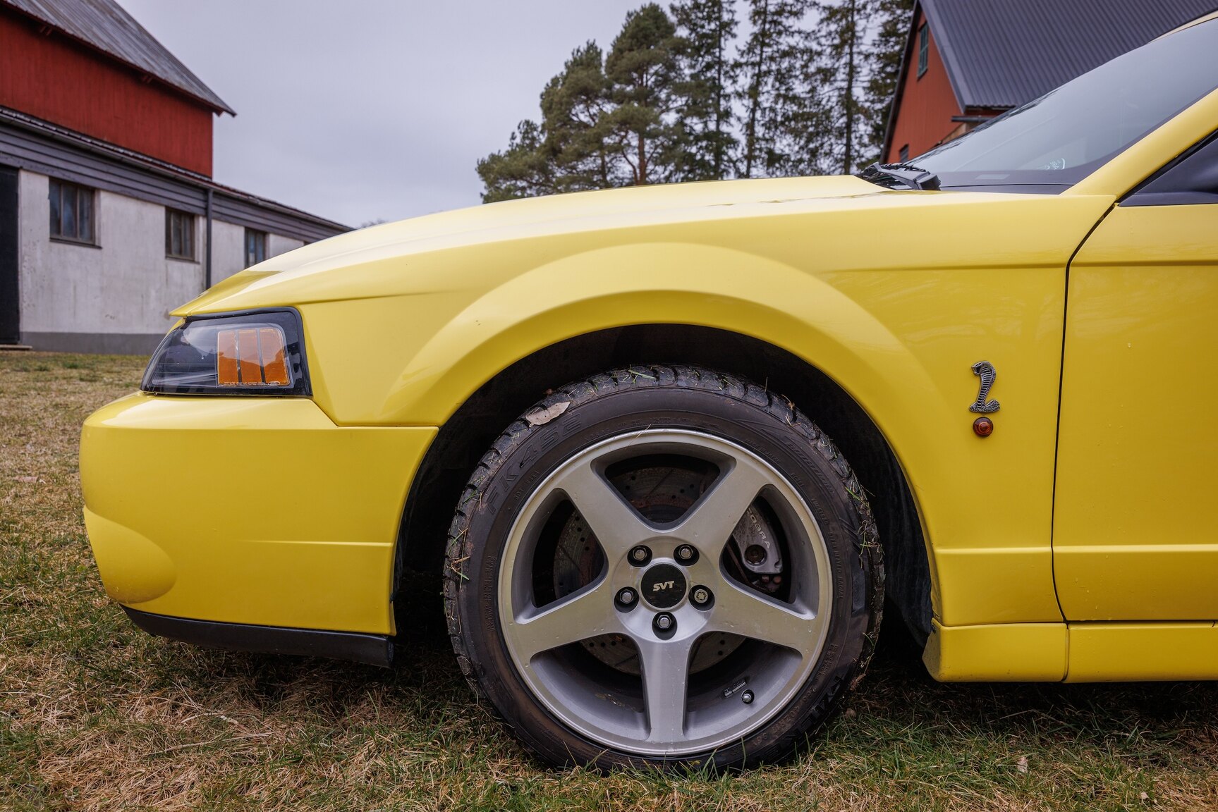 Exterior image of 2003 Ford Mustang SVT Cobra