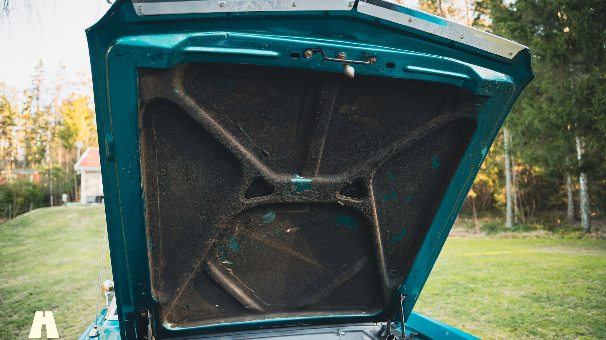 Image of 1965 Ford Mustang Cabriolet (6) mechanics