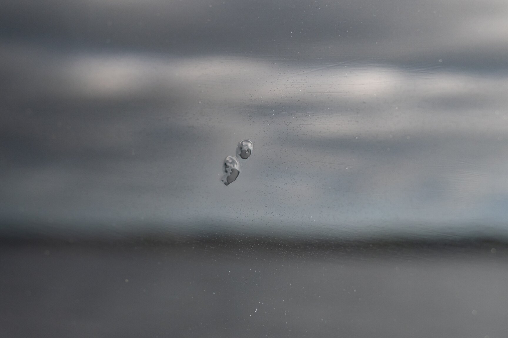 Exterior image of 1955 Packard Caribbean Cabriolet  (50)