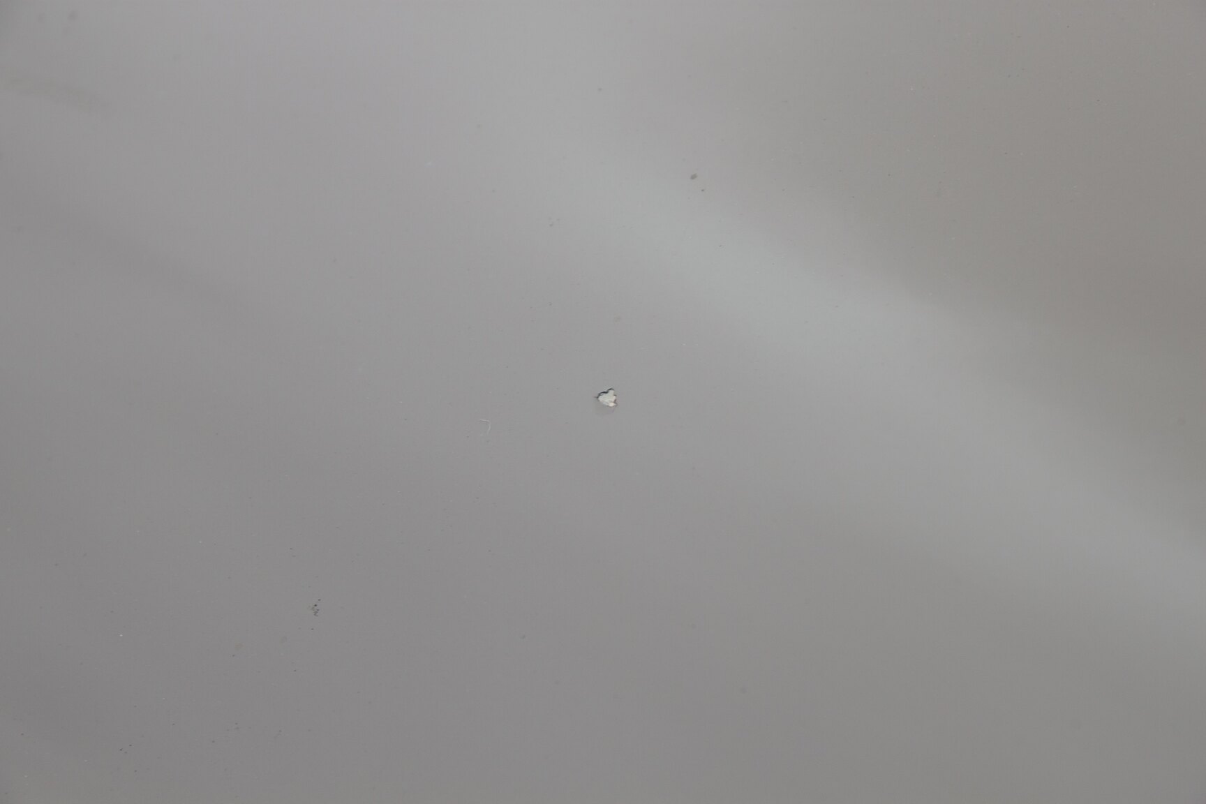 Exteriörbild på 1962 Volvo Amazon (38)