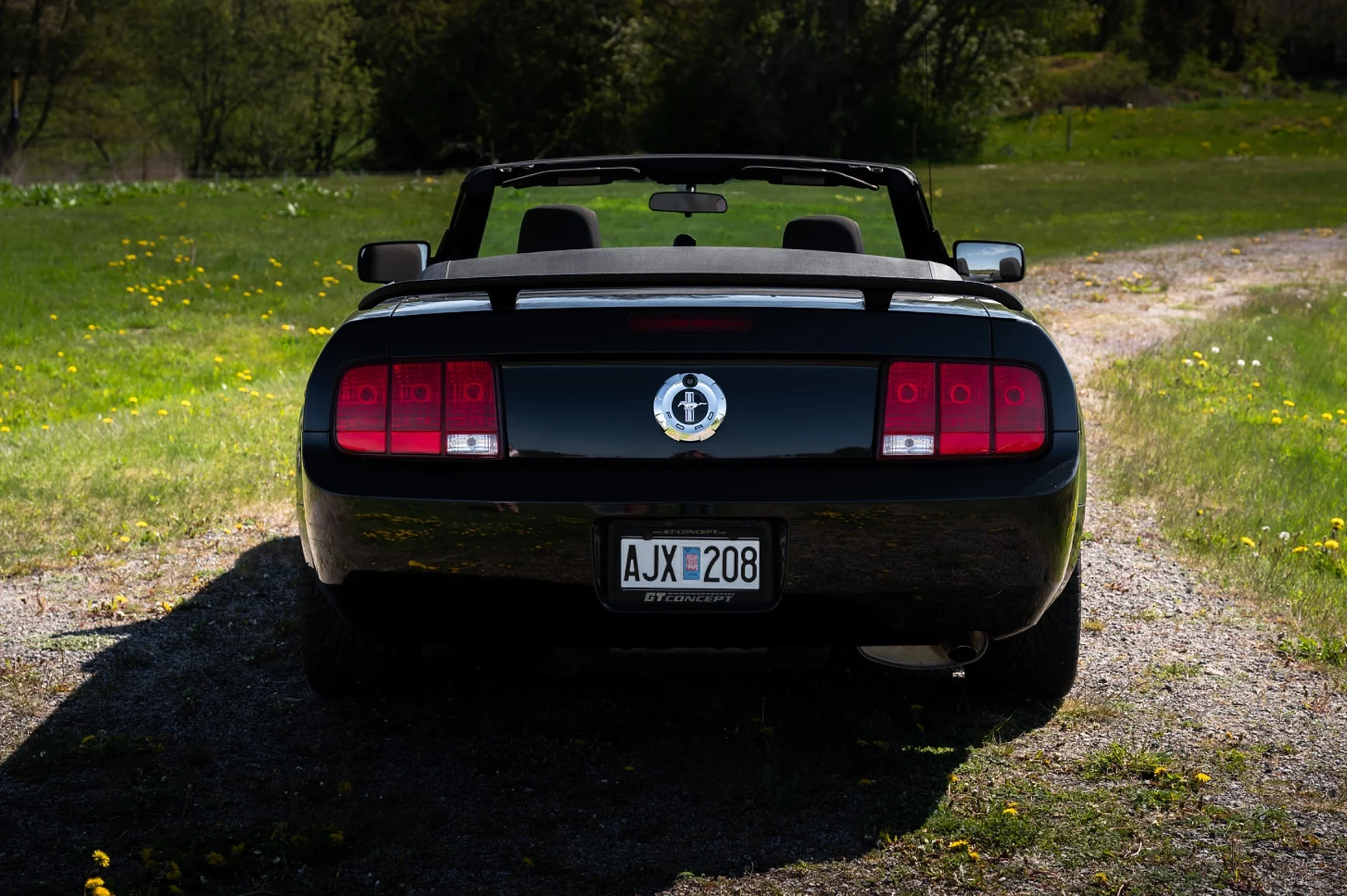 Exteriörbild på 2006 Ford Mustang Convertible (11)