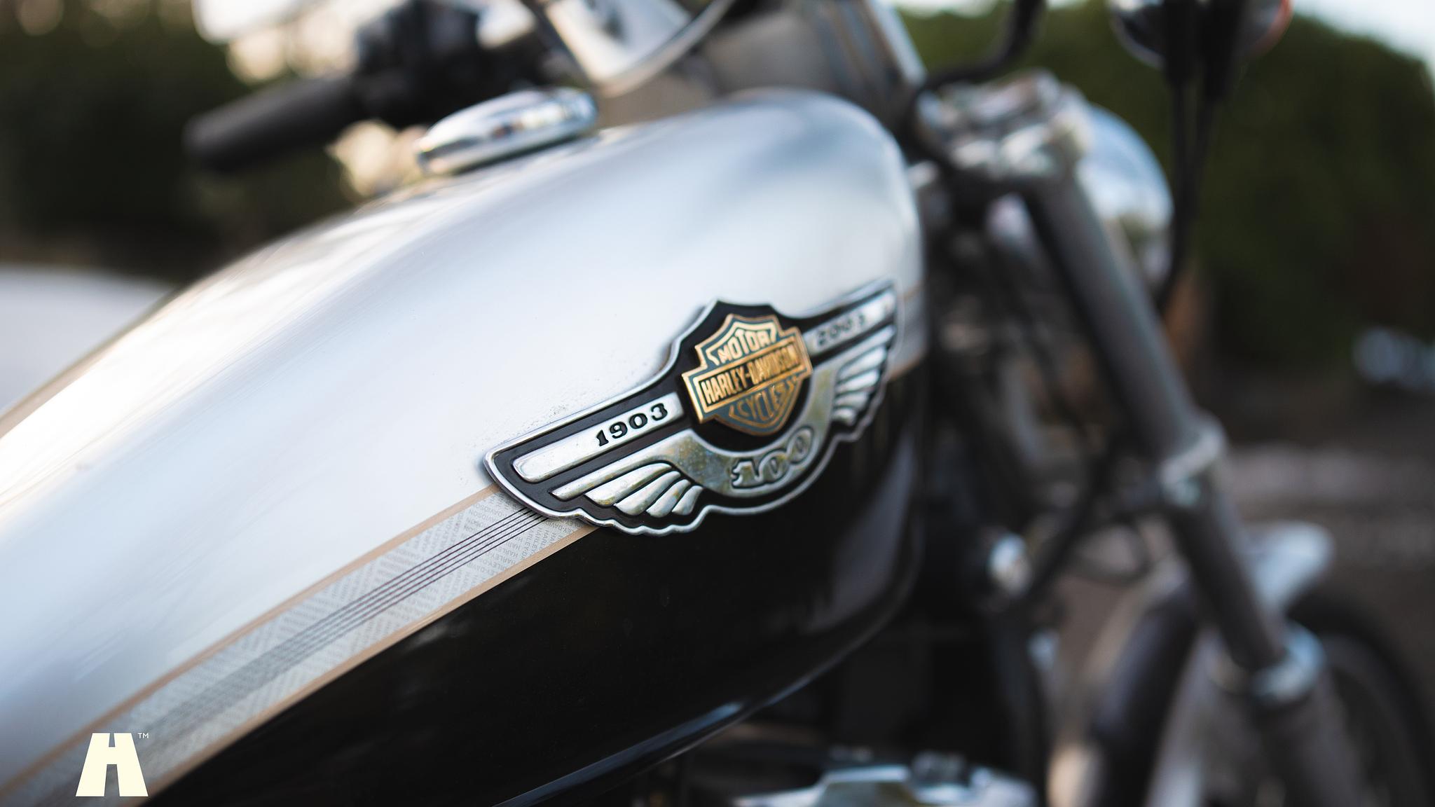 Exterior image of 2003 Harley Davidson Sportster 1200C 100th Anniversary Edition
