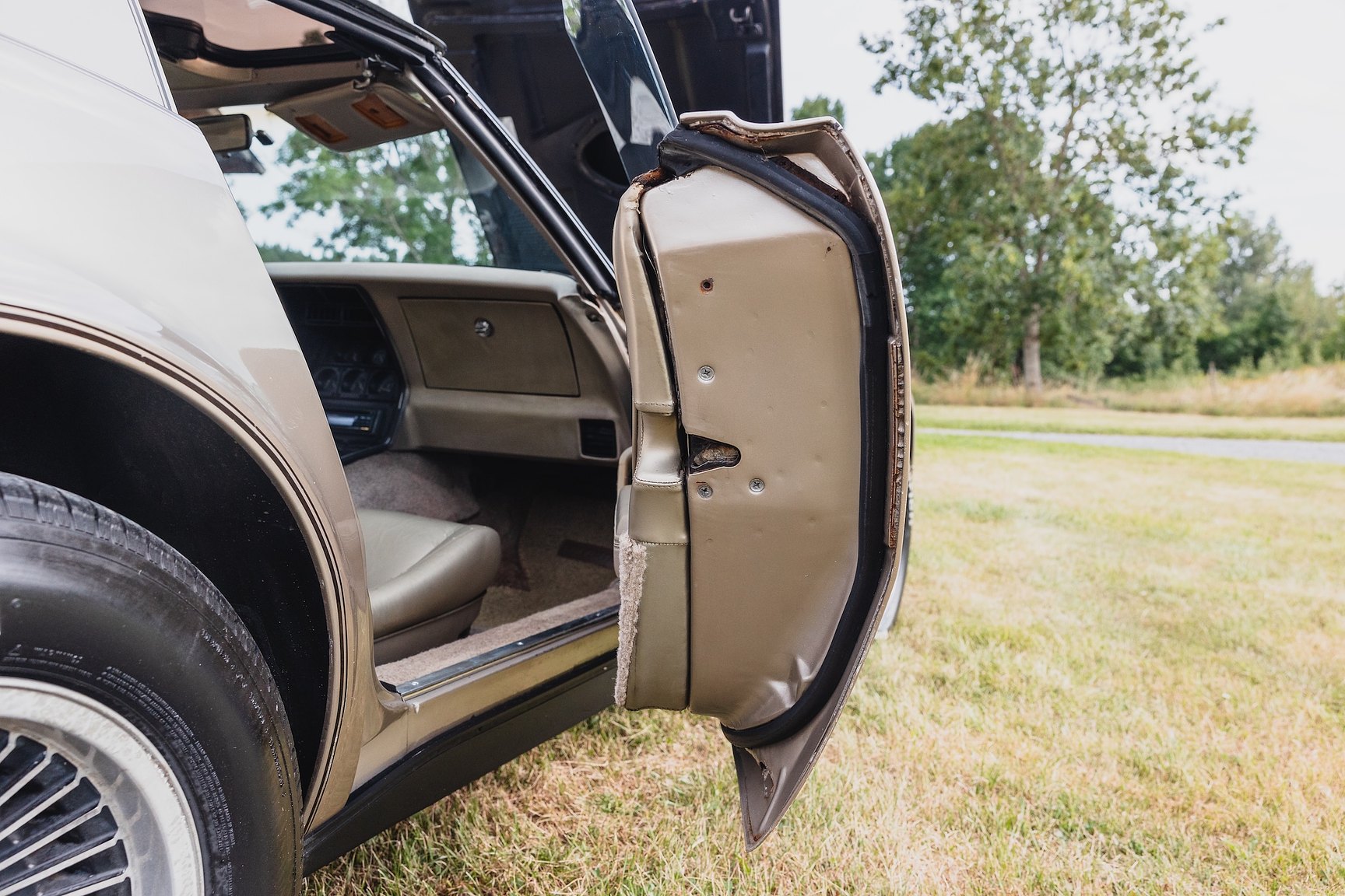 Interior image of 1982 Chevrolet Corvette Collector Edition