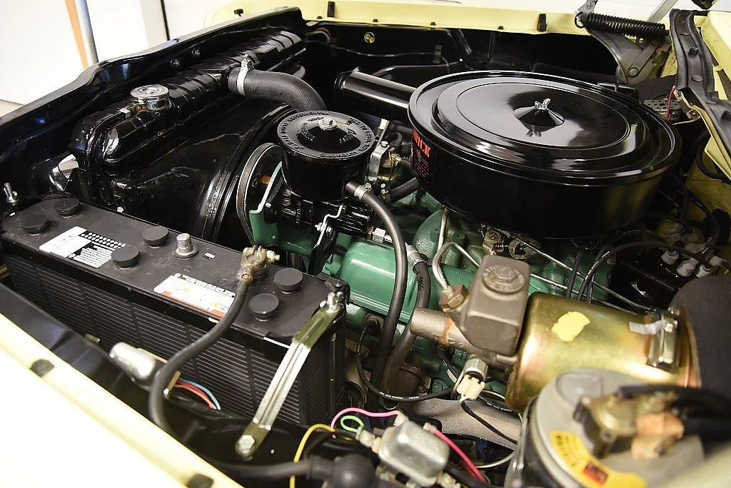 Bild von 1958 Buick Limited (44)