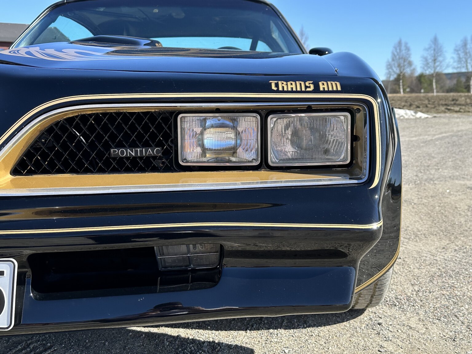 Exterior image of 1978 Pontiac Trans Am Bandit 400