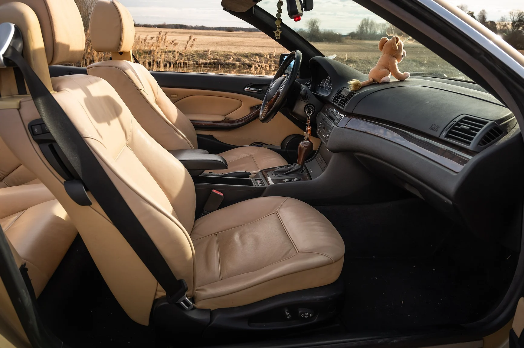 Innenraumfoto von 2001 BMW 330 Ci (26)