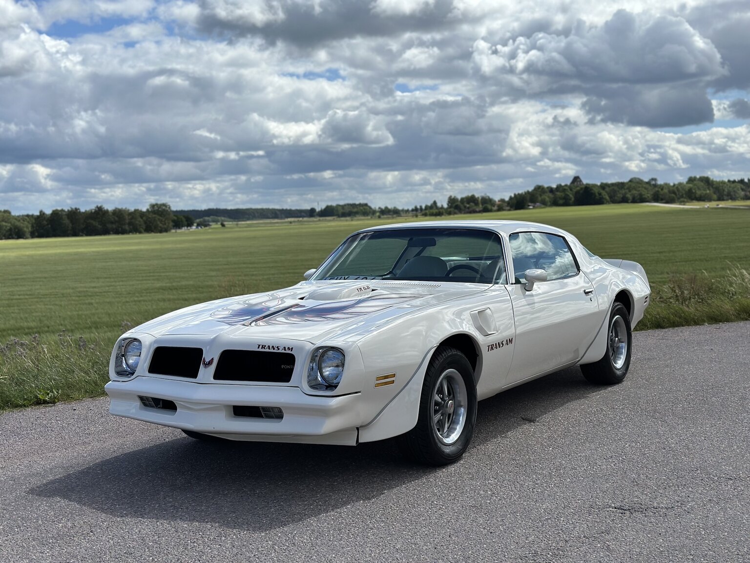 Exterior image of 1976 Pontiac Firebird Trans Am