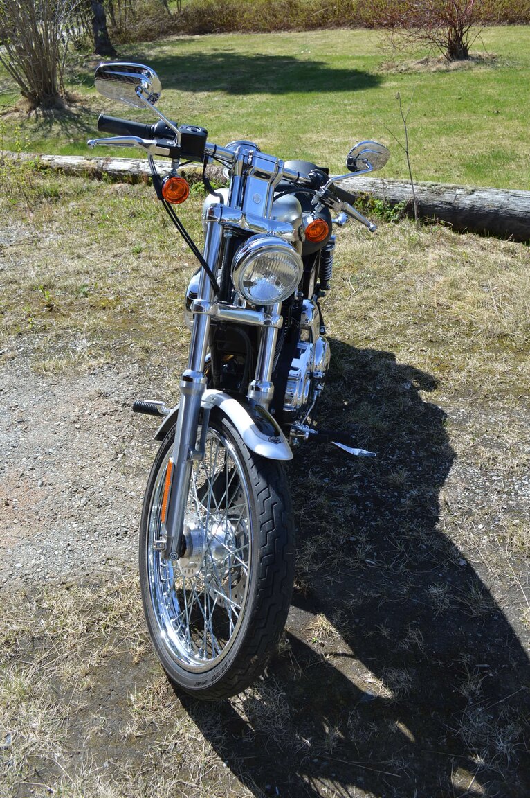 Exterior image of 2003 Harley-Davidson XL1200C 100 anniversary
