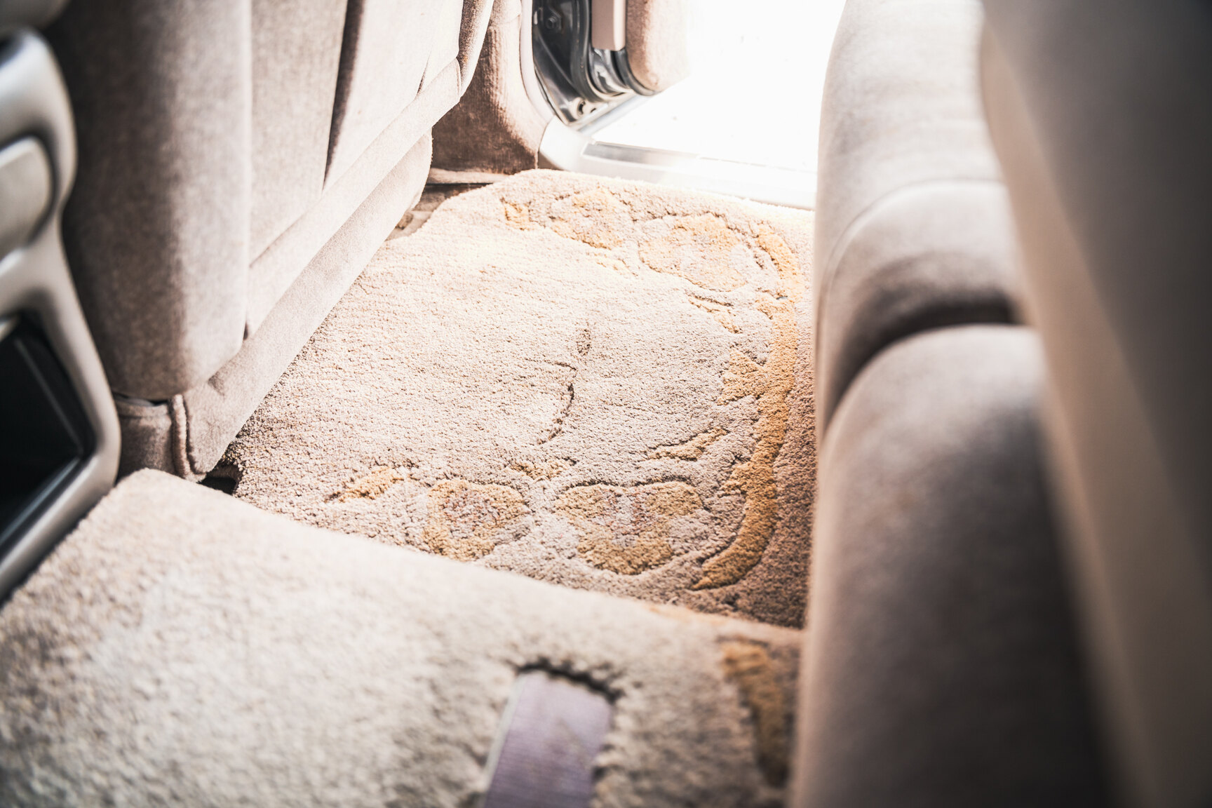 Innenraumfoto von 2000 Toyota Century