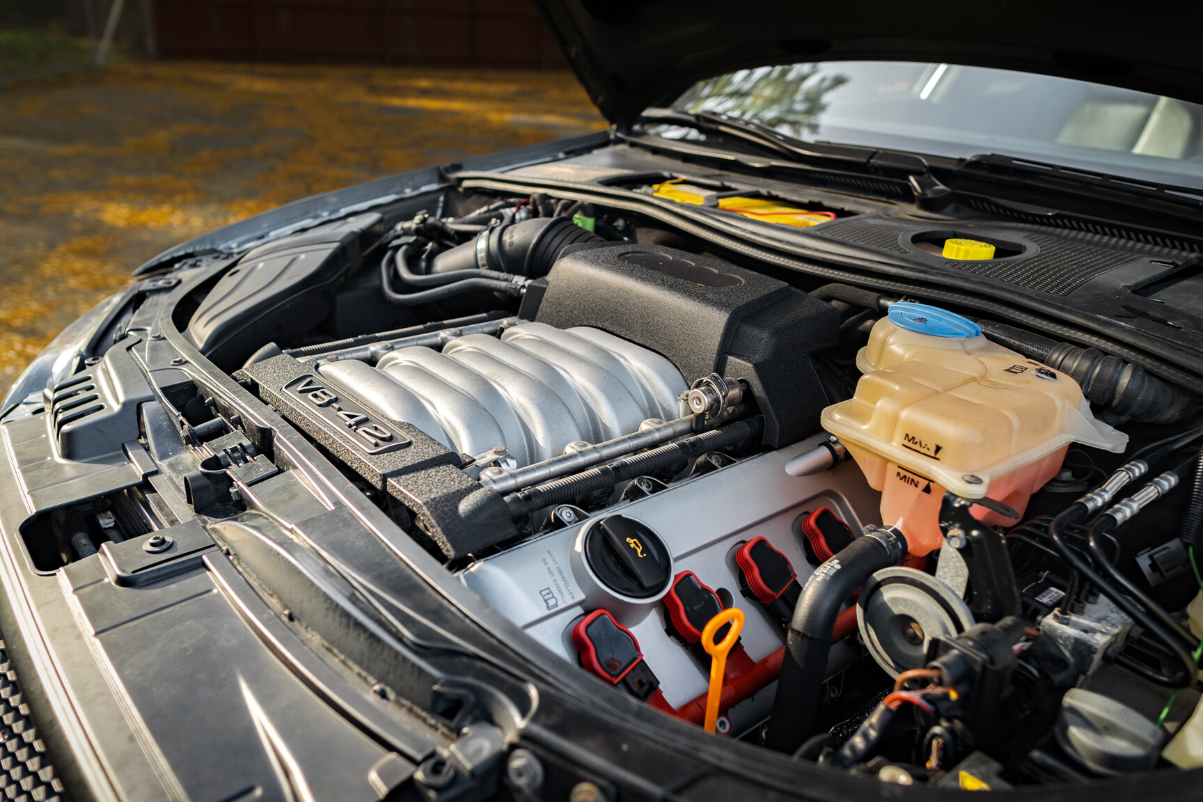 Image of 2005 Audi S4 Avant (2) mechanics