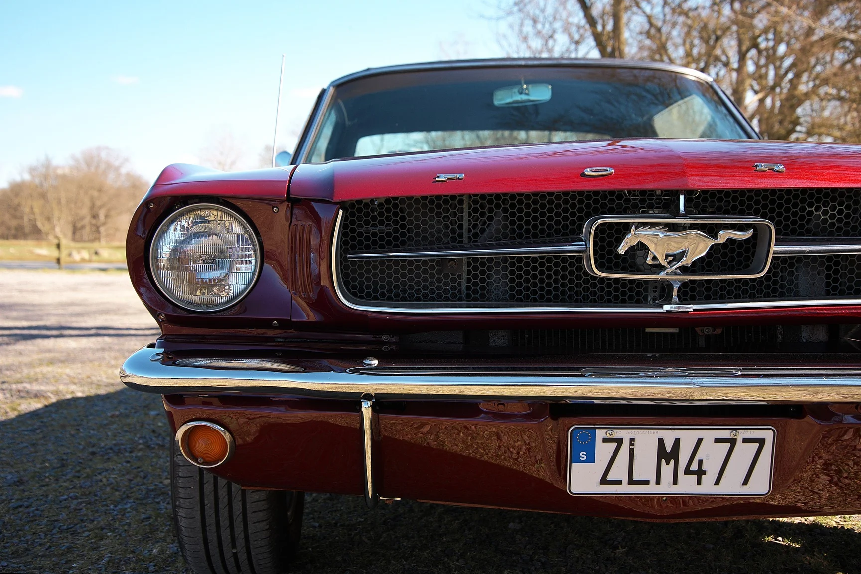 Aussenfoto 1965 Ford Mustang HT 289cui (55)