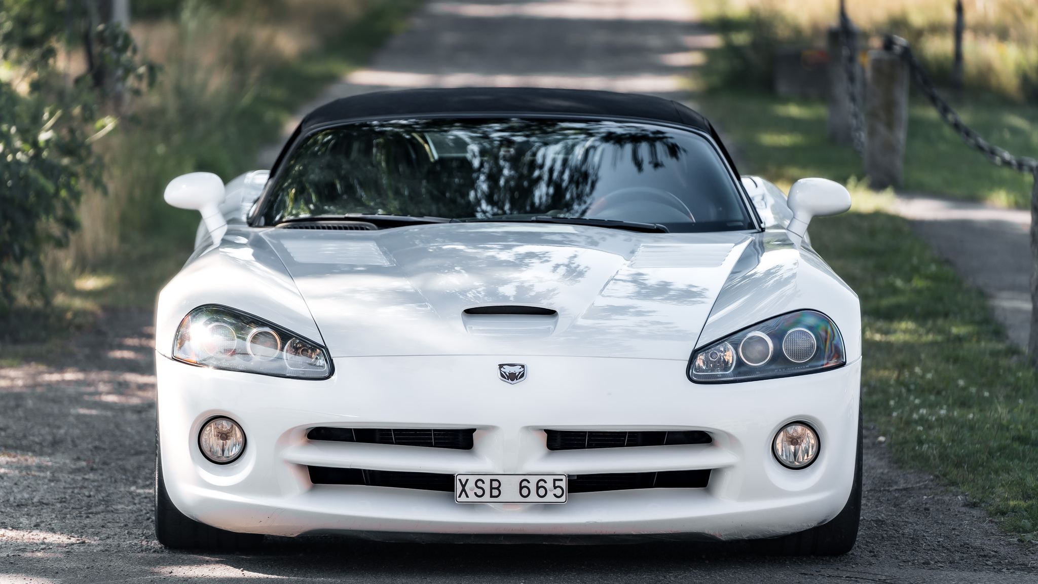 Exterior image of 2004 Dodge Viper Mamba Edition