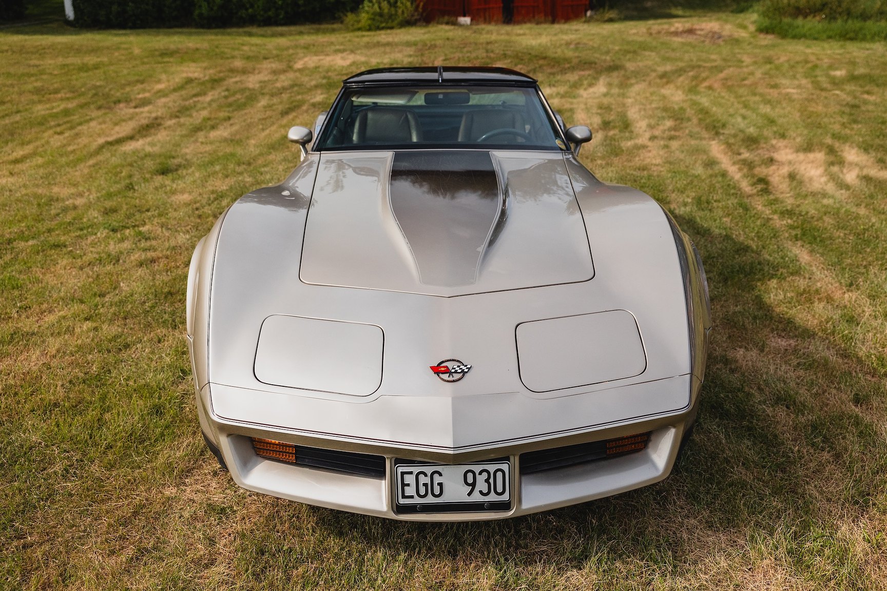 Exterior image of 1982 Chevrolet Corvette Collector Edition