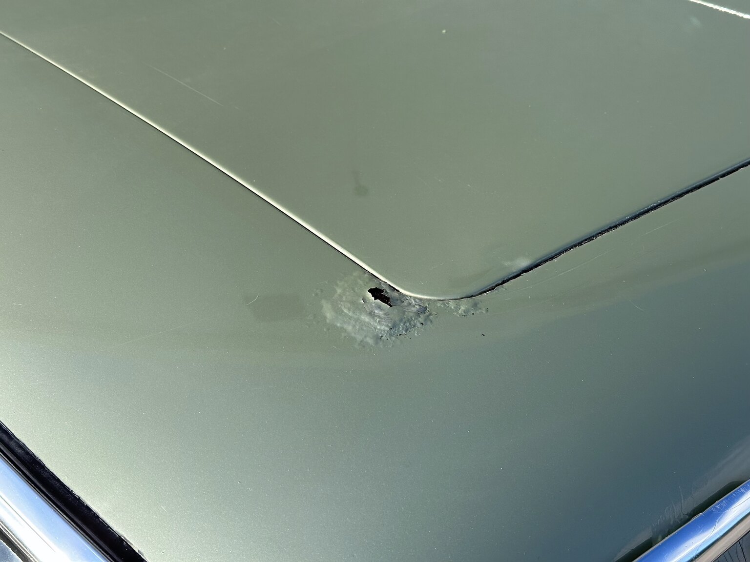 Aussenfoto 1975 Mercedes Benz 450 SEL (27)