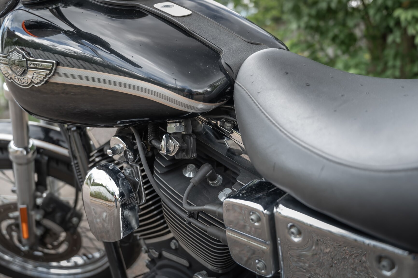 Exteriörbild på 2003 Harley-Davidson FXDL 100th Anniversary