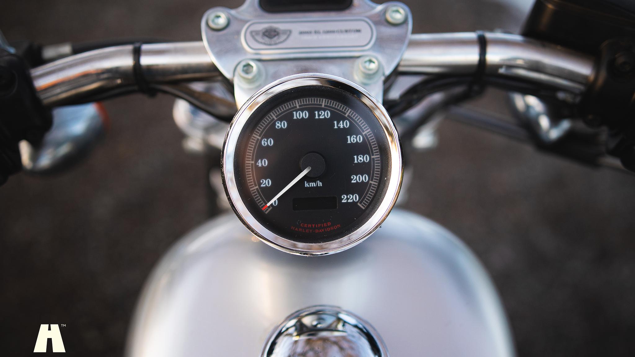 Aussenfoto 2003 Harley Davidson Sportster 1200C 100th Anniversary Edition