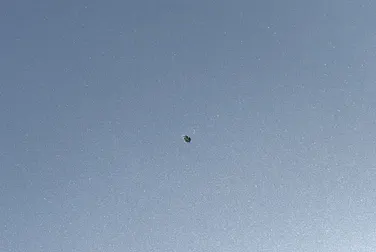 #<Image:0x00007fb2c2686e20>