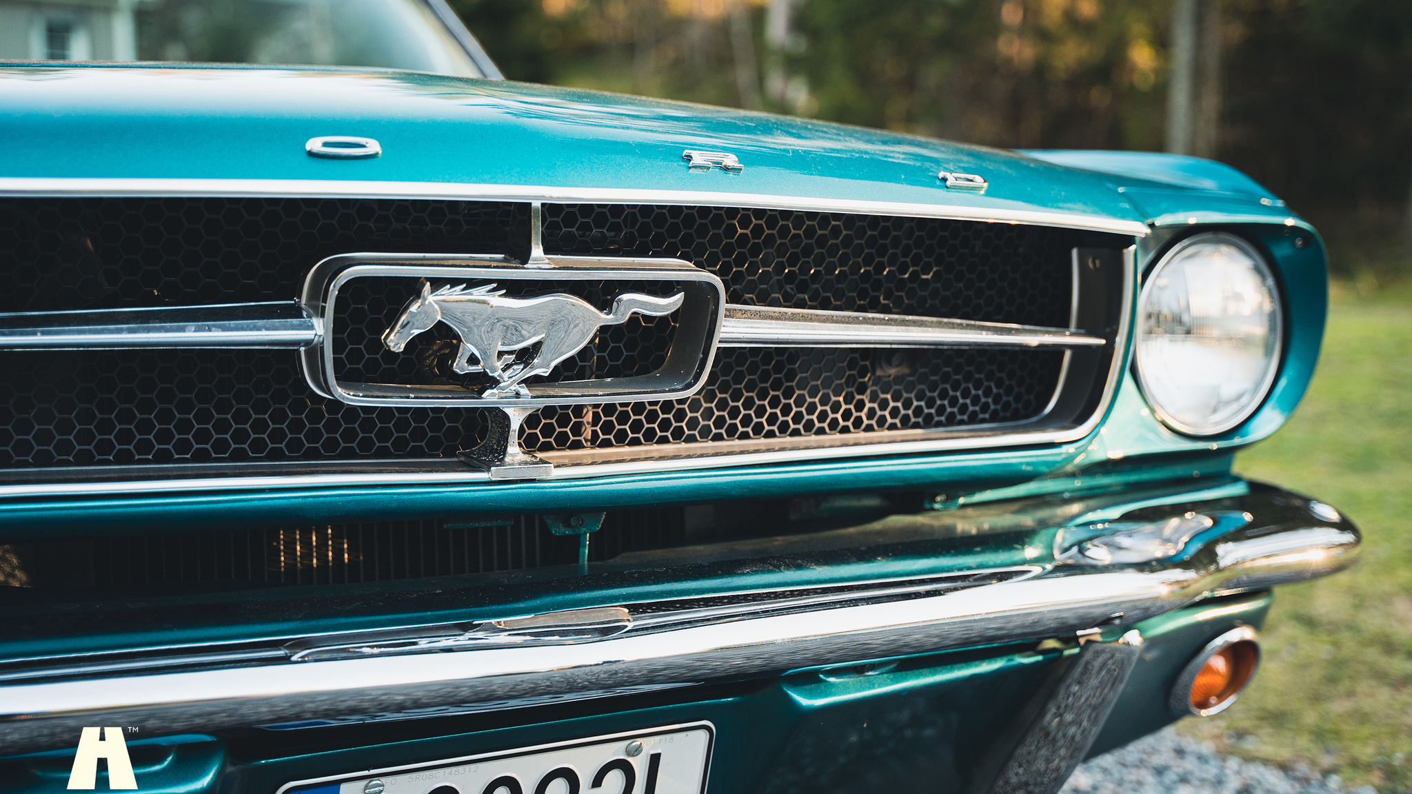 Aussenfoto 1965 Ford Mustang Cabriolet (24)